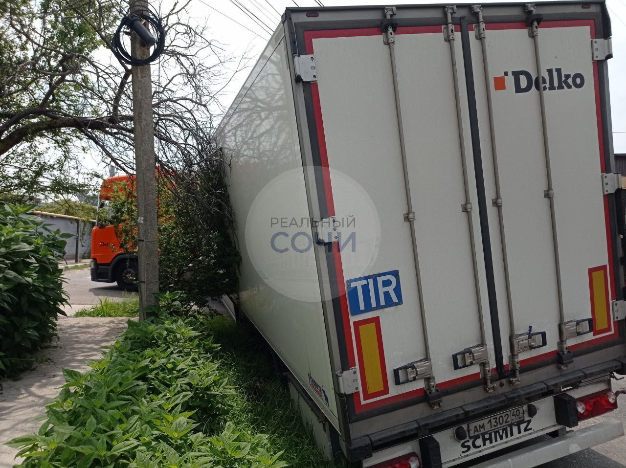 � ���� ���� ����������� � ��������������� ���������