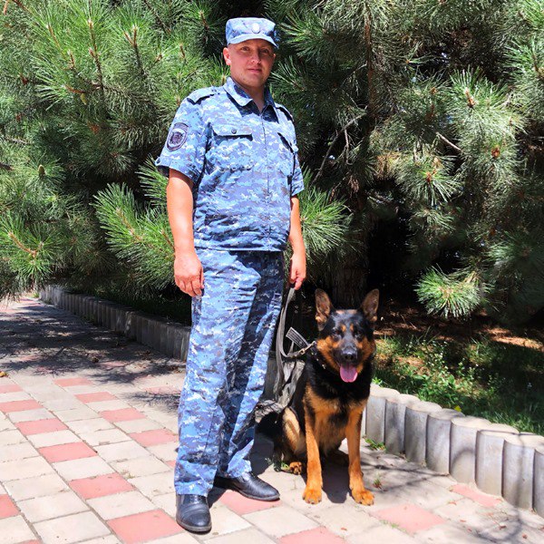 В Динском районе Кубани служебная собака нашла пропавших детей