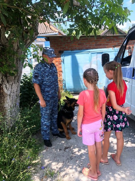 В Динском районе Кубани служебная собака нашла пропавших детей