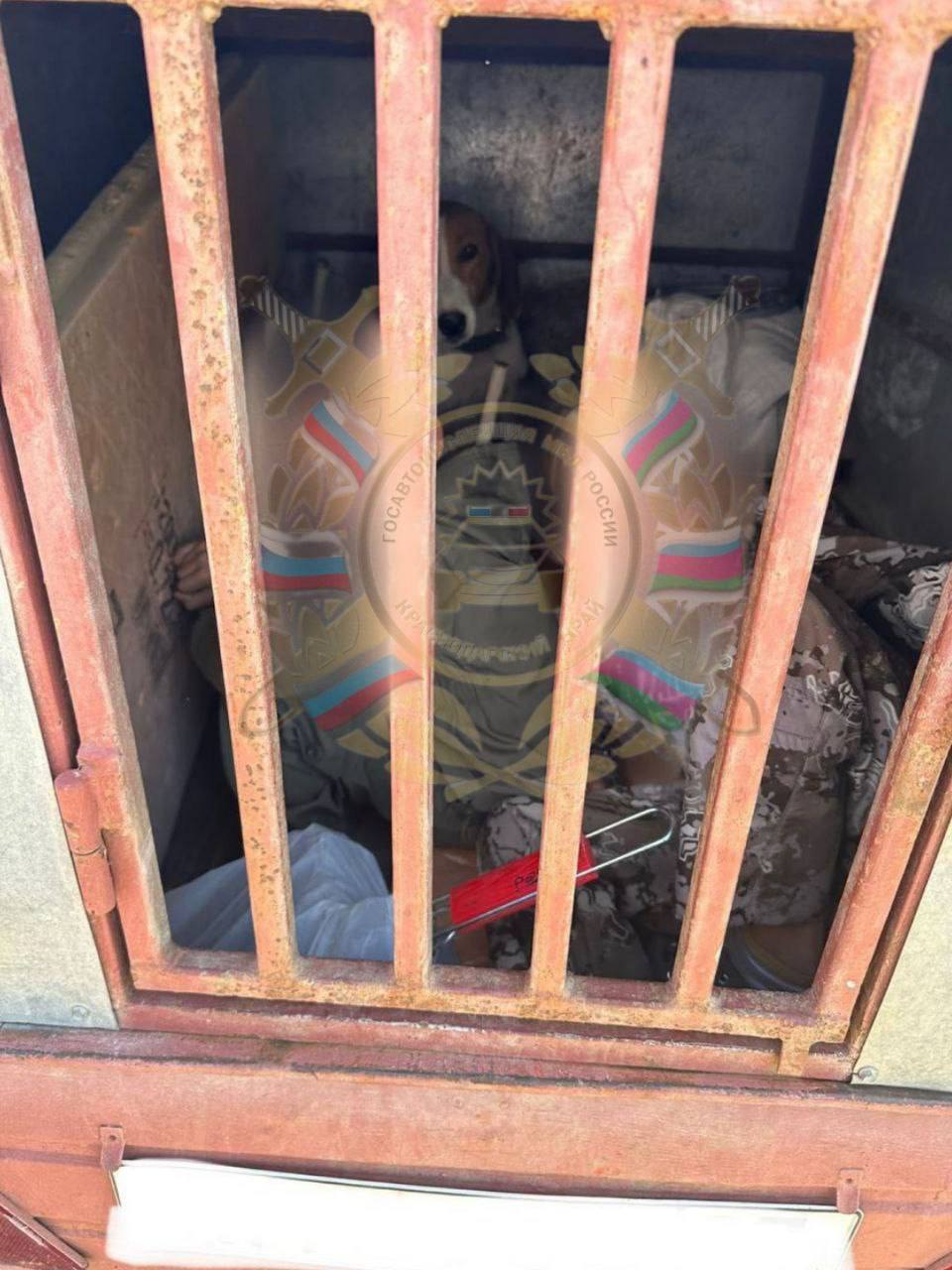 На Кубани женщина возила по трассе своих детей в автоприцепе