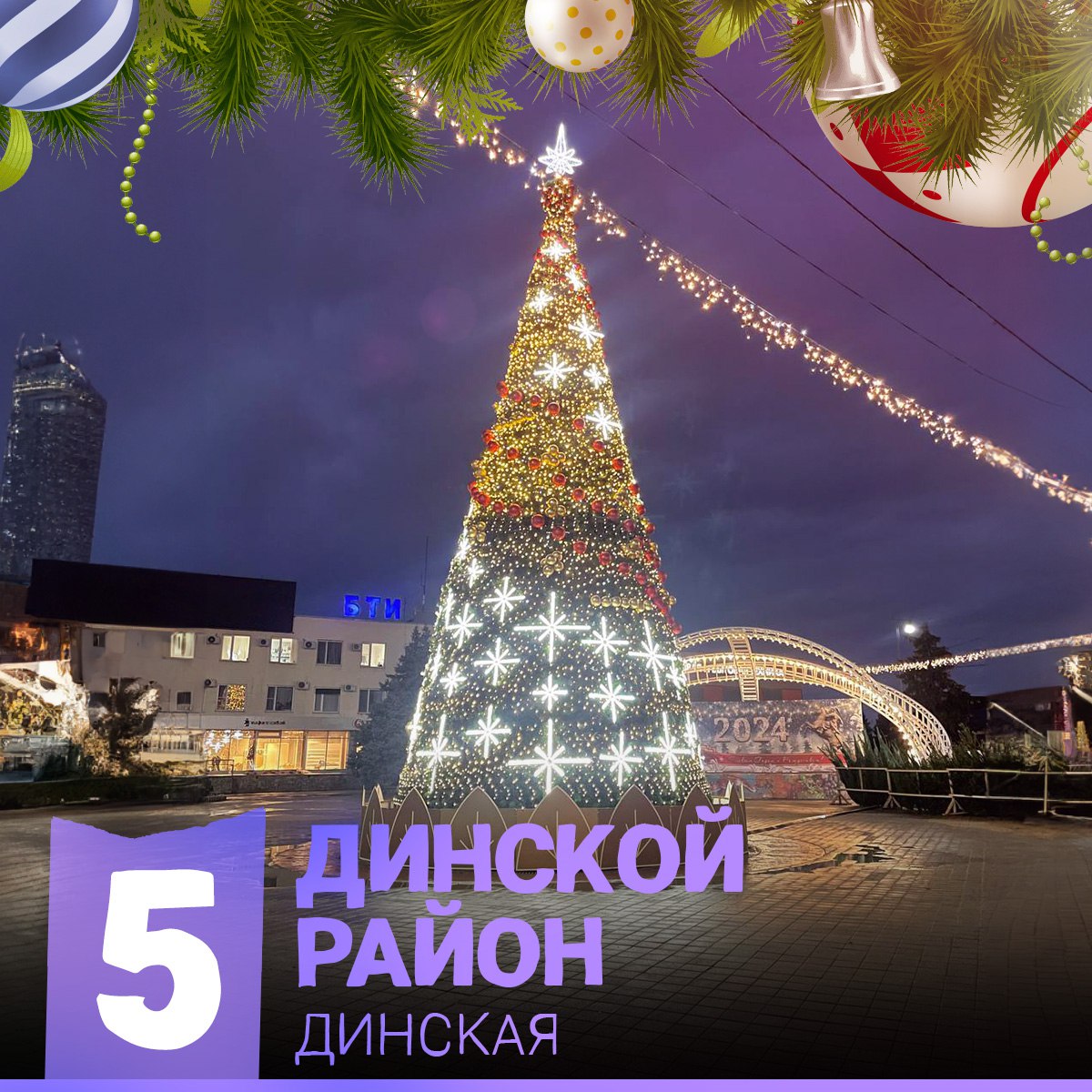 Ёлка Динская