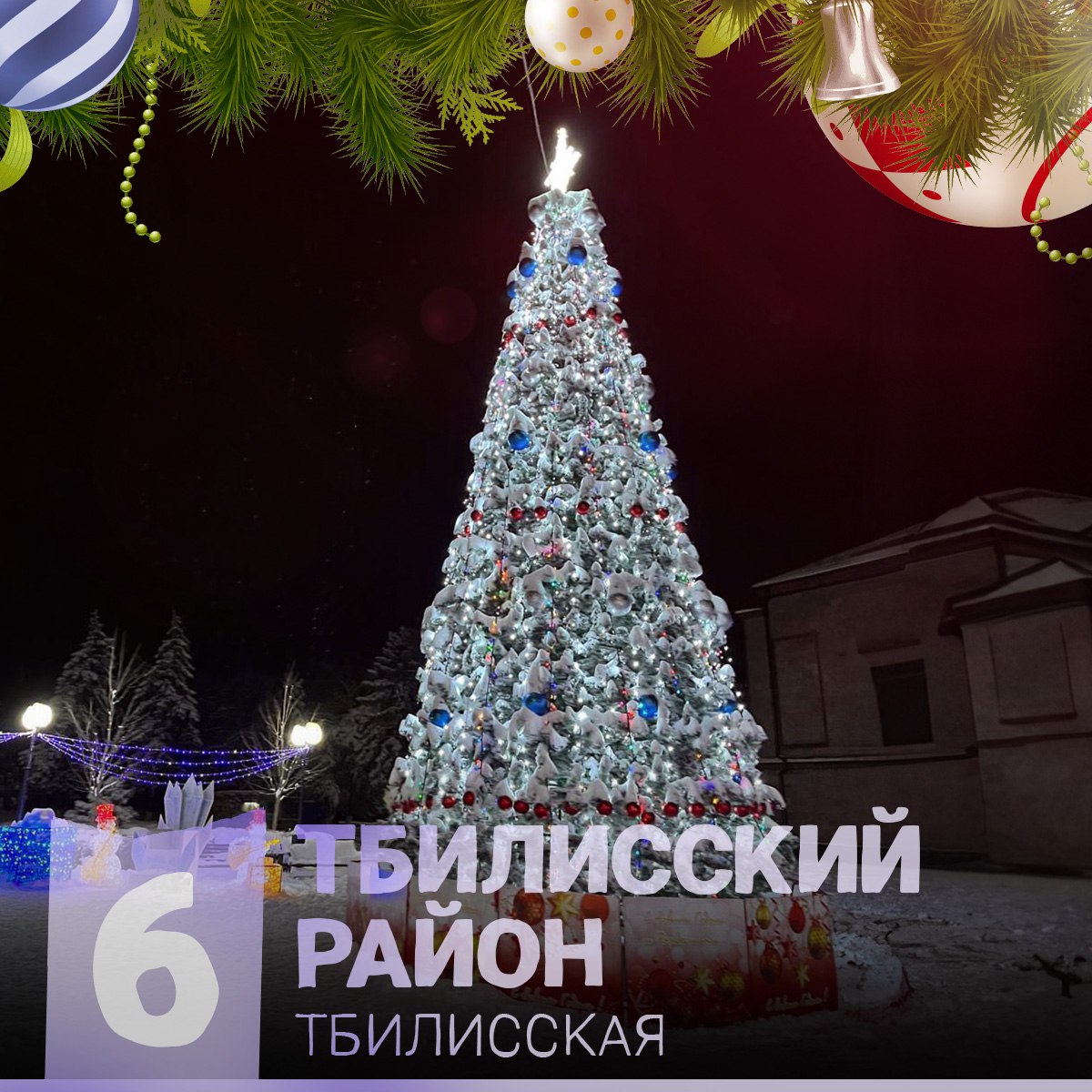 Ёлка Тбилисская