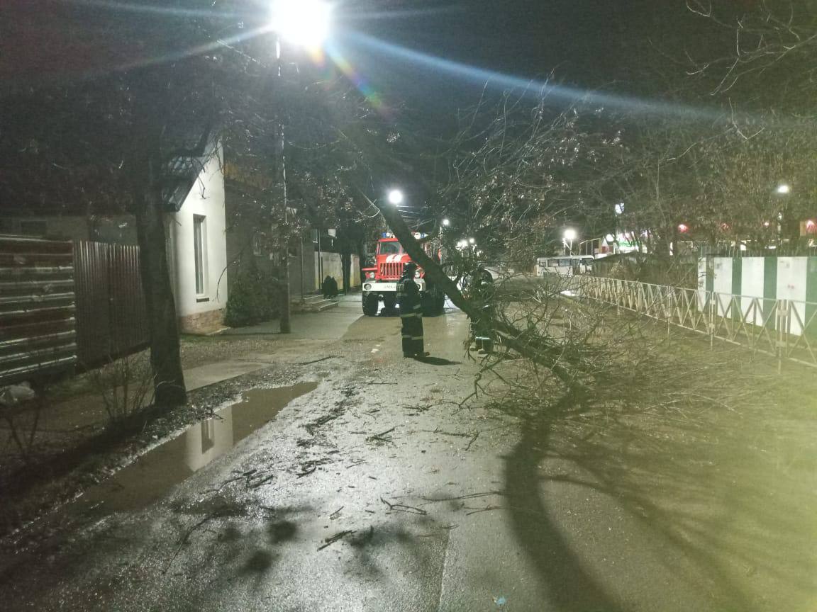 Последствия ветра в Краснодаре