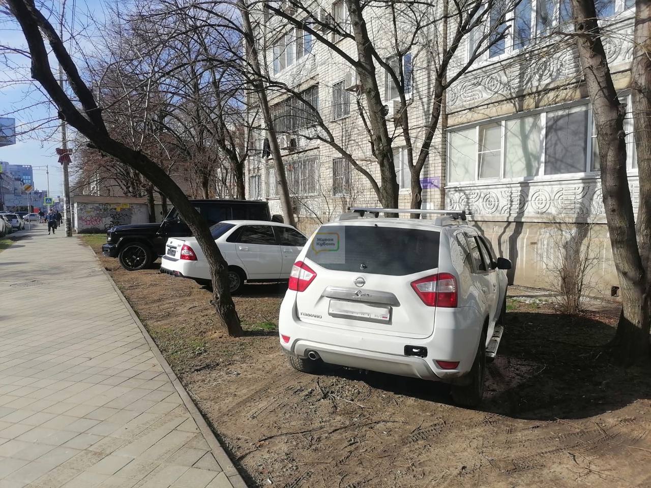 Студент на Мерседесе в Краснодаре