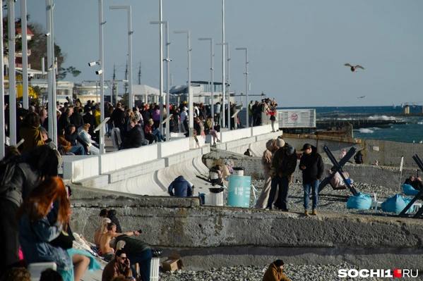 Сочи зимой