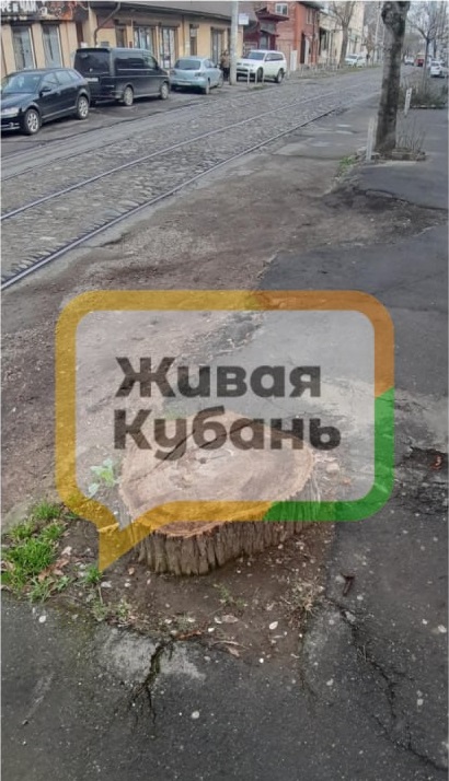 � ������ ���������� ������ �� ���� ����� ���. �������