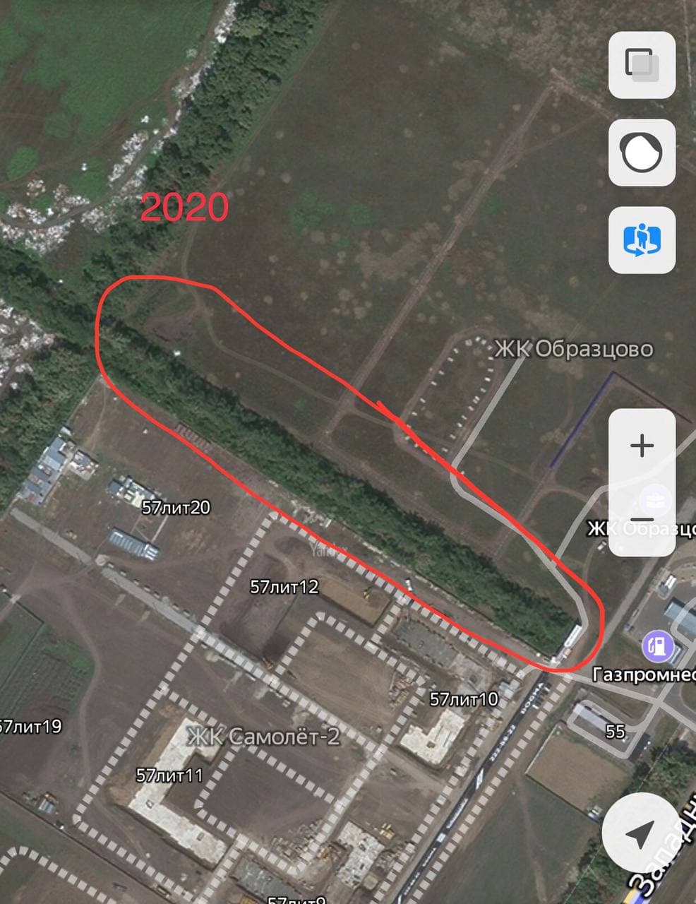 В Краснодаре вырубили 16 молодых дубов ВИДЕО