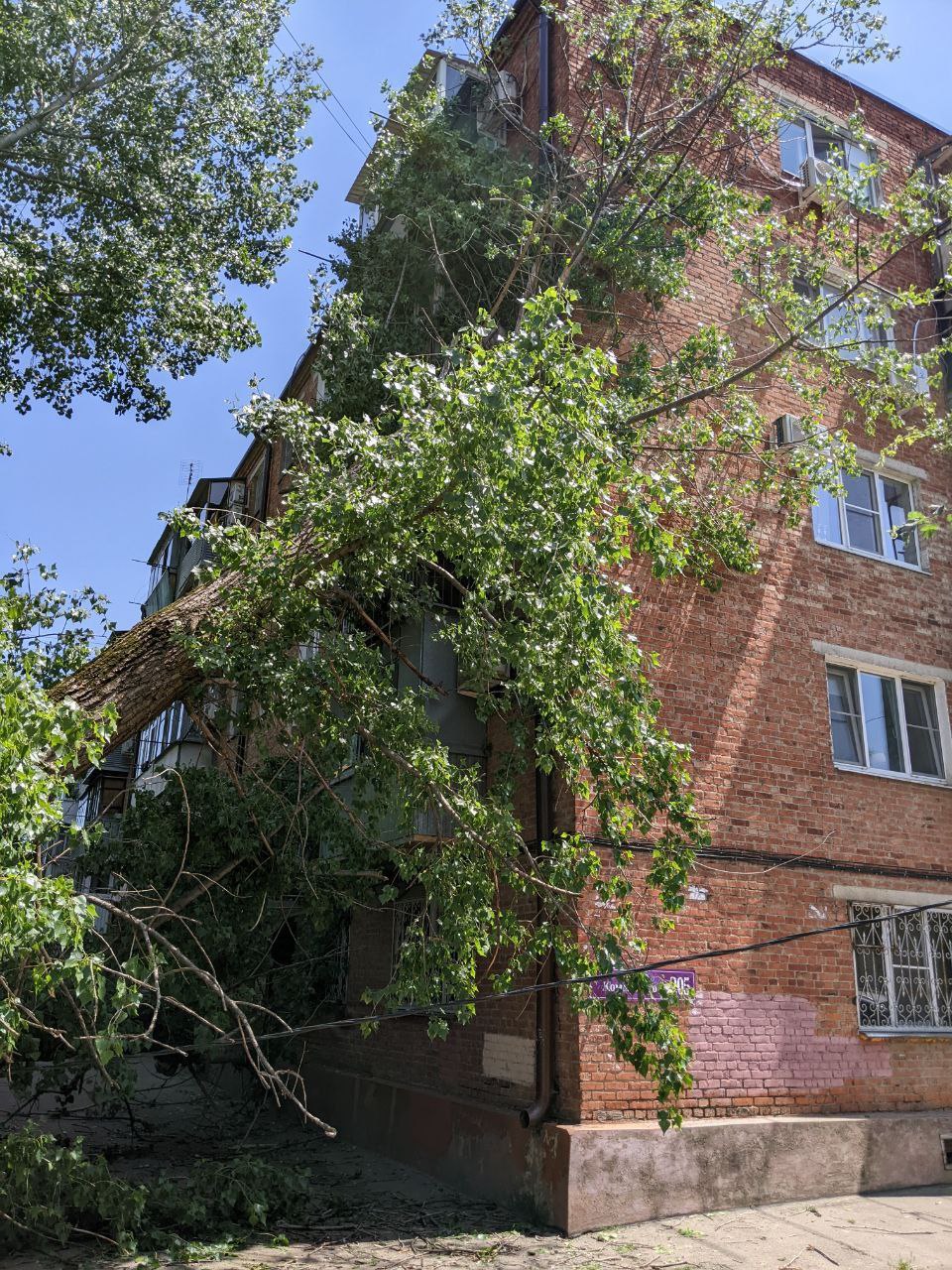 В Краснодаре дерево упало на многоэтажку и машину