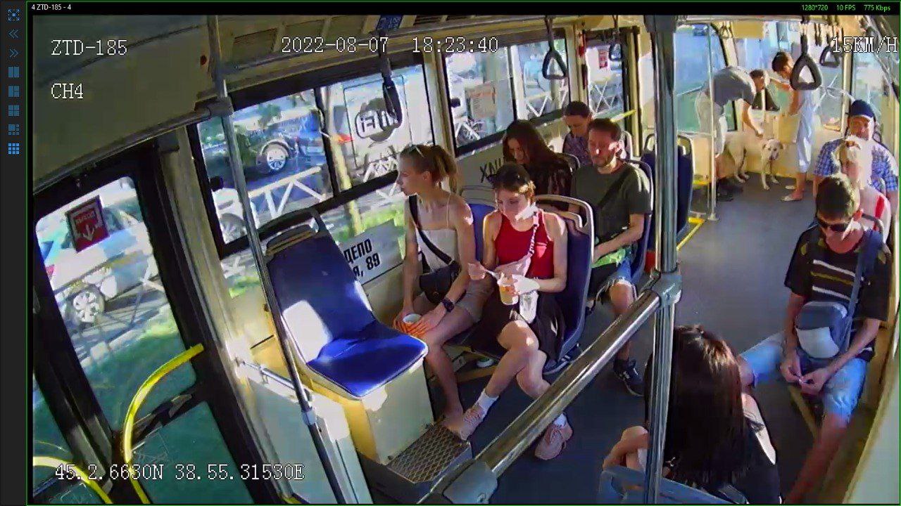 В Краснодаре кондуктор трамвая требовала оплату за собаку-поводыря?