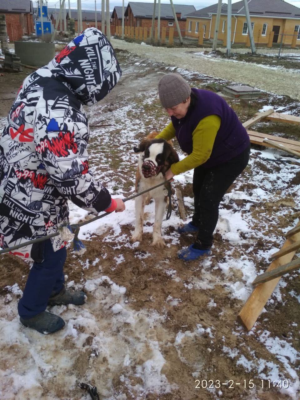 Жительница Новороссийска полтора часа пыталась достать пса, упавшего в колодец
