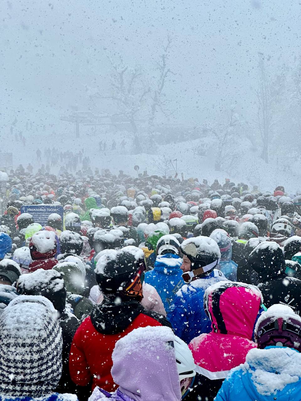 В горах Сочи огромная снежная лавина снесла коммуникации