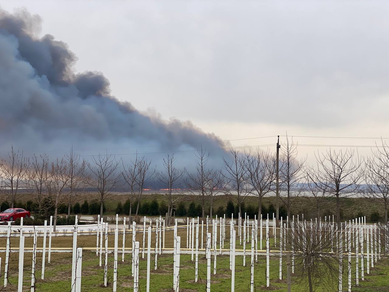 В Темрюкском районе Кубани вспыхнул крупный природный пожар