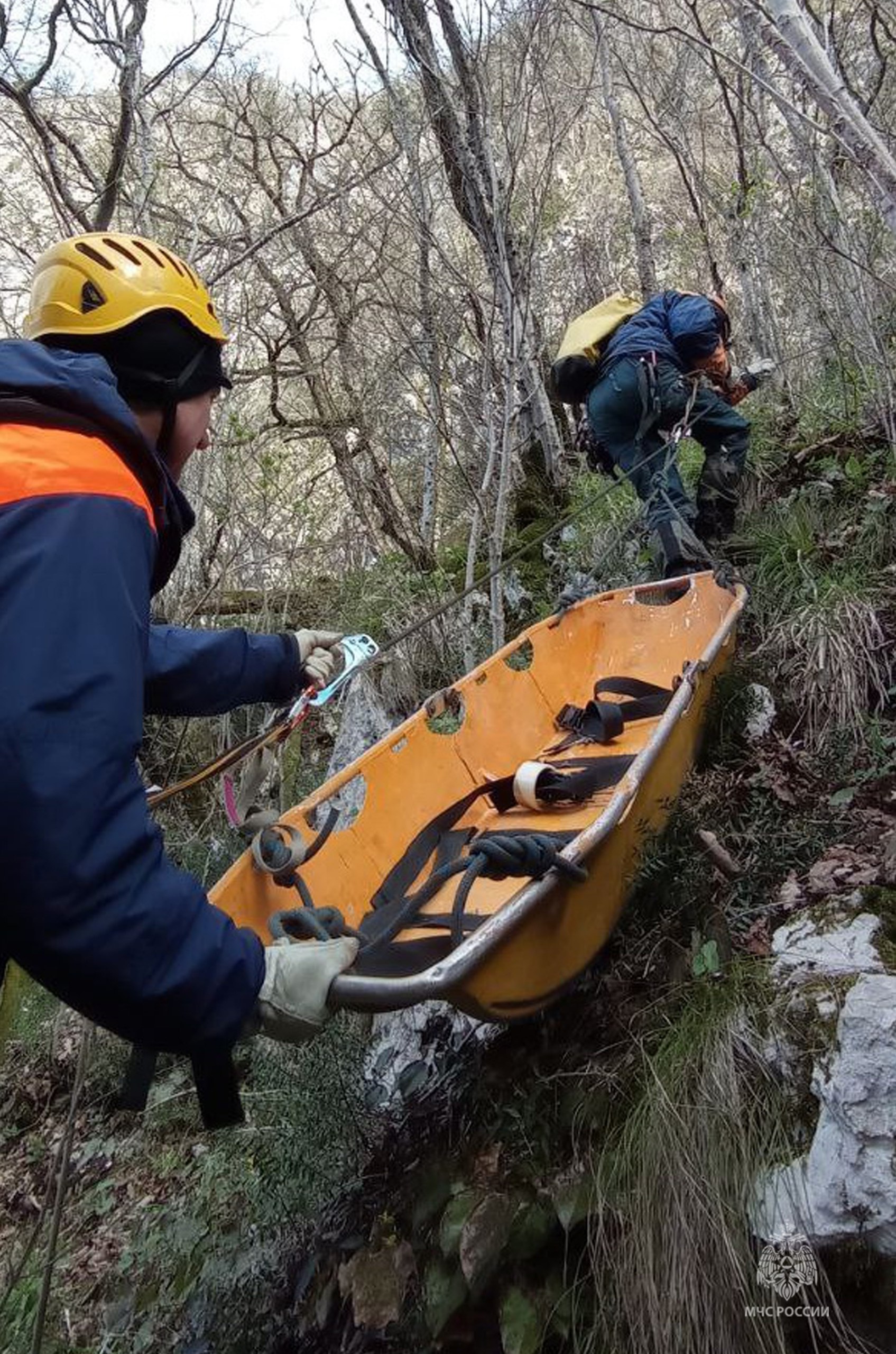 � ���� �� ������� ������ ����� ���������, ������� �������� �� ���� �� ������