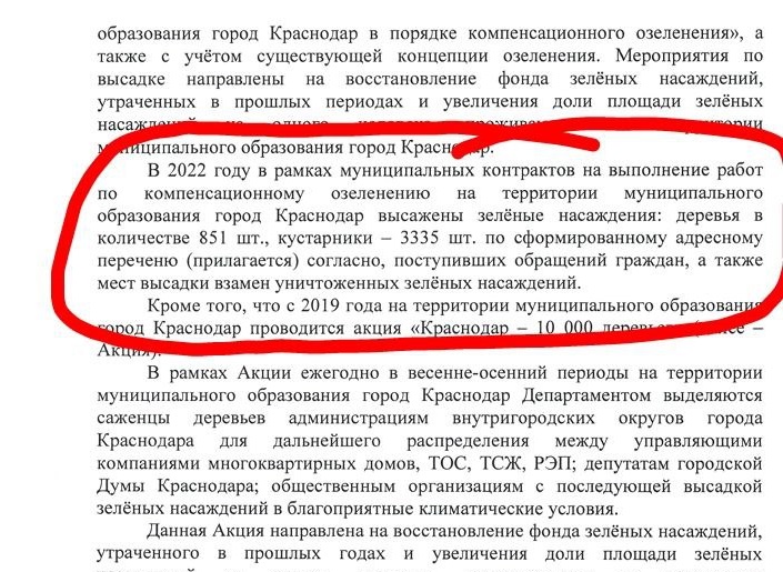 Стало известно, кто поручил вырубить 4 тысячи деревьев в Краснодаре