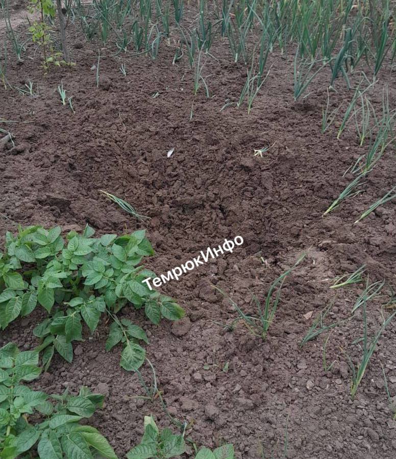 � ������ ����� ����� ������ ���� ����������� ������