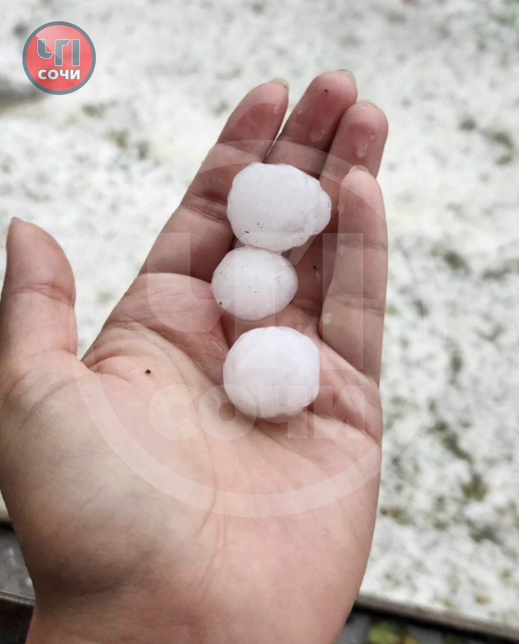 «Только что светило солнце»: в Сочи выпал град с куриное яйцо