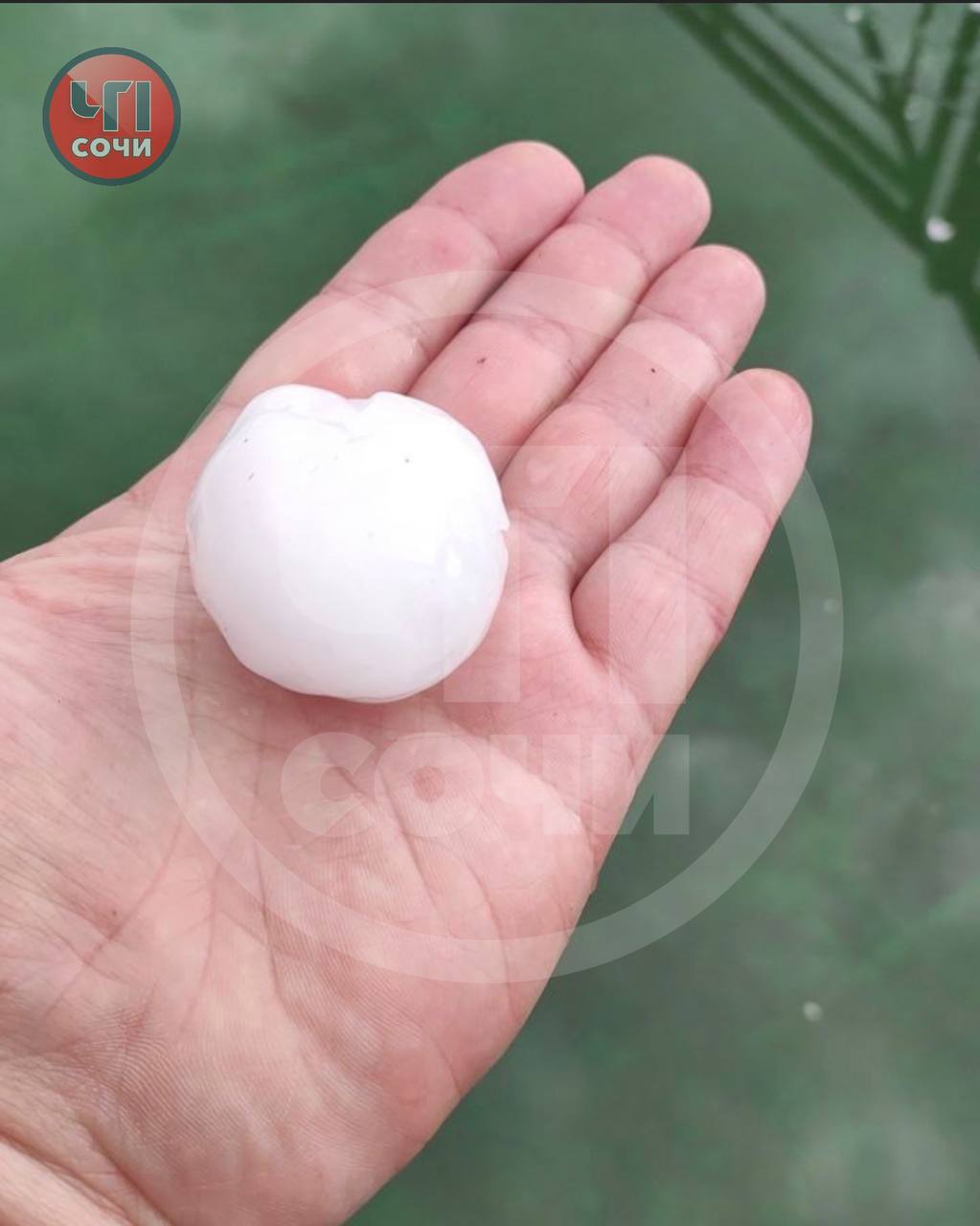 «Только что светило солнце»: в Сочи выпал град с куриное яйцо