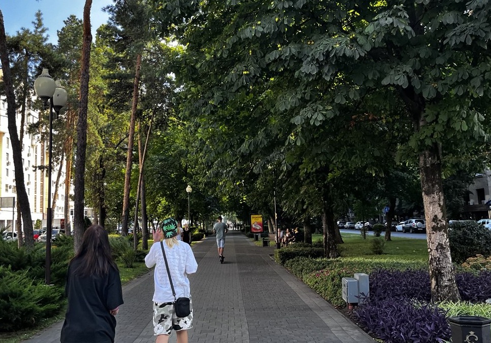 Фото: Живая Кубань