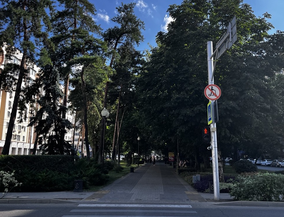 Фото: Живая Кубань