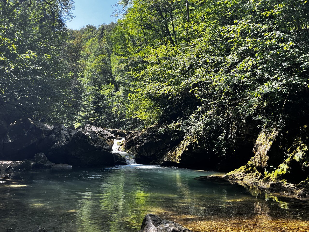 Фото: Живая Кубань