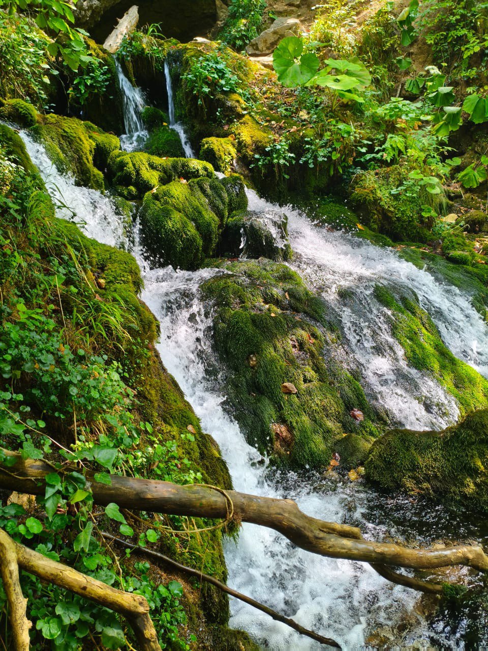 Фото: Живая Кубань