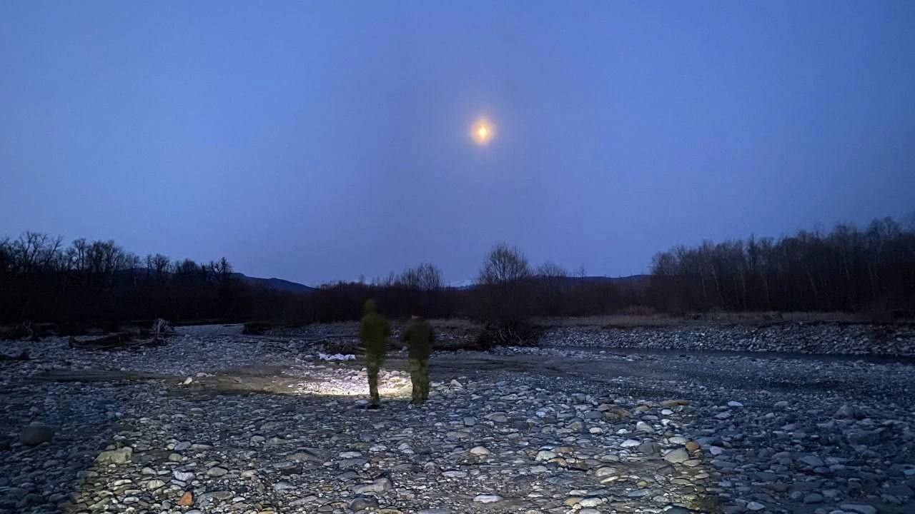 Фото Лиза Алерт