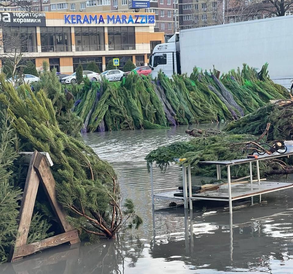 Фото: ТГ канал Анапское Черноморье