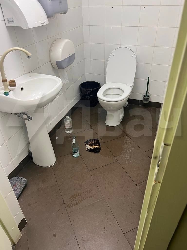 � ����� �����������, ���������� ���������� �������, ������ ������� ���� �����