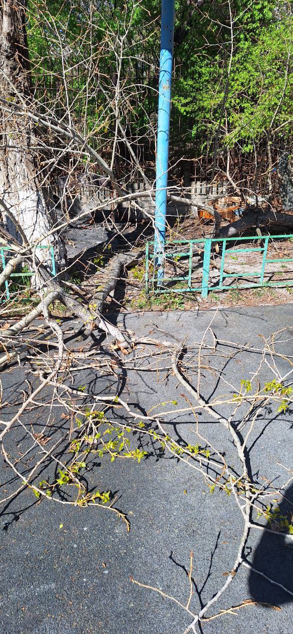 Фото: ГУ МЧС по краю