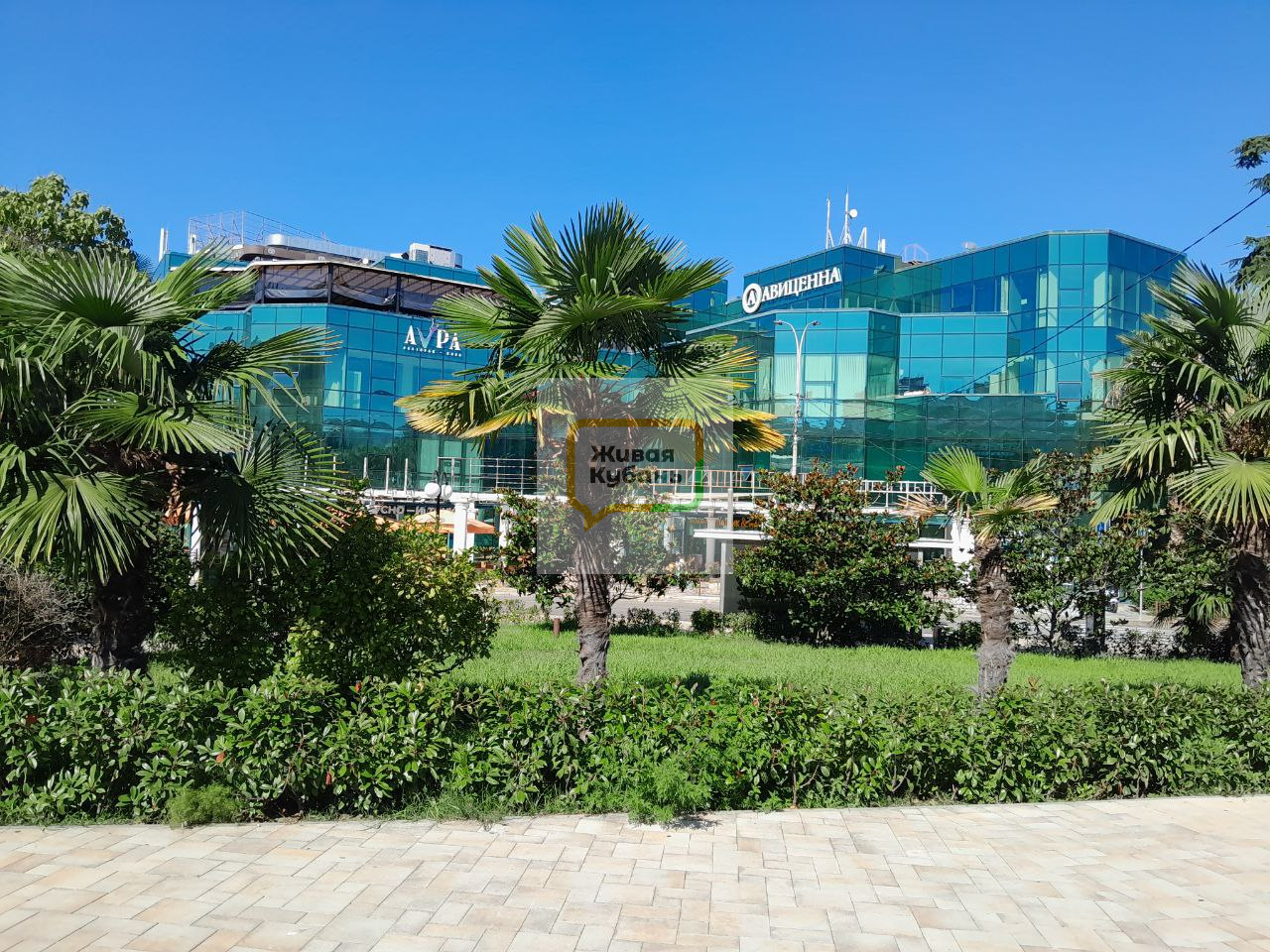 Фото: Живая Кубань