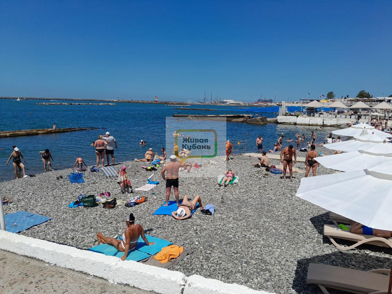 Фото: Живая Кубань