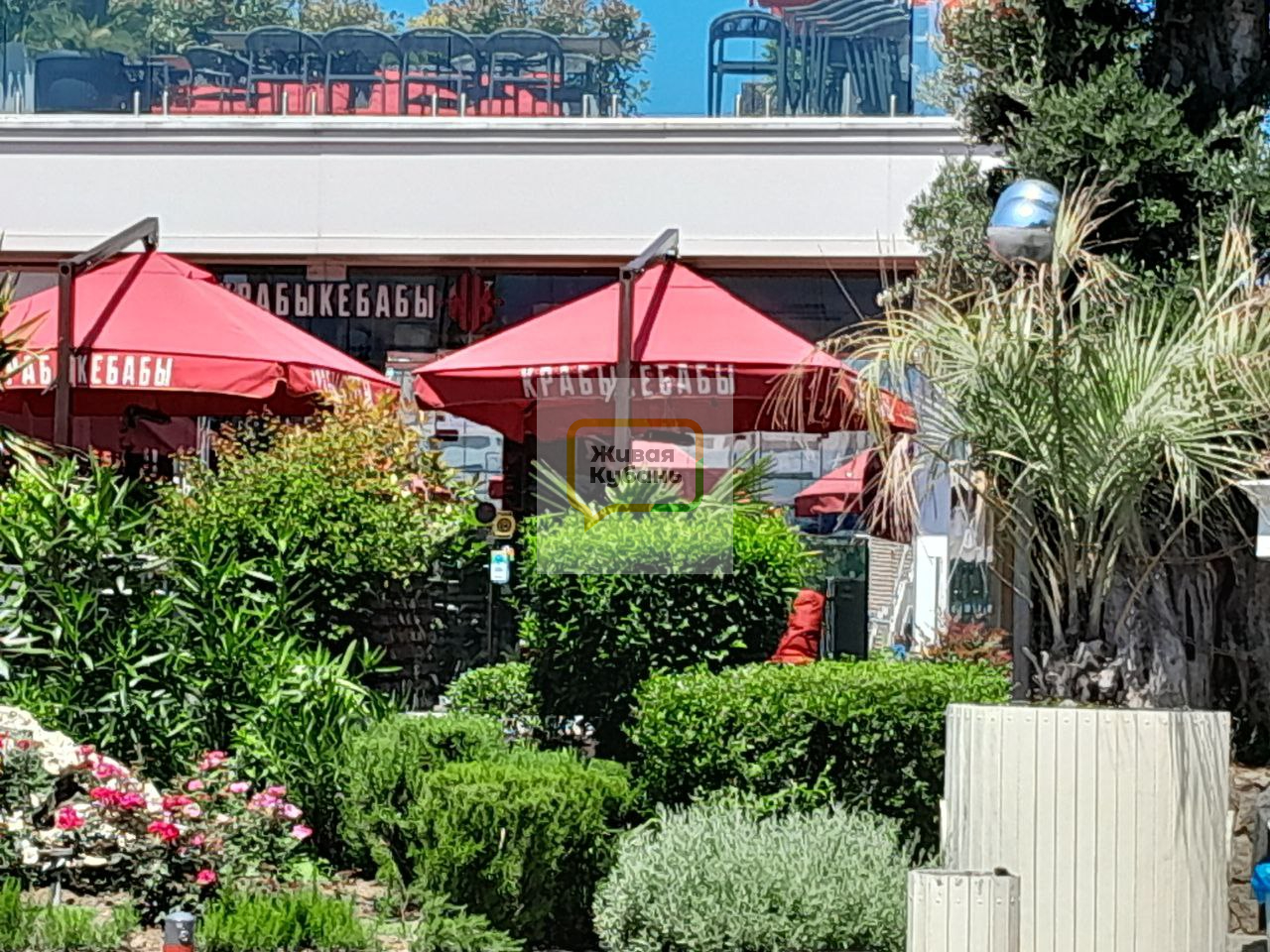 Фото: Живая Кубань