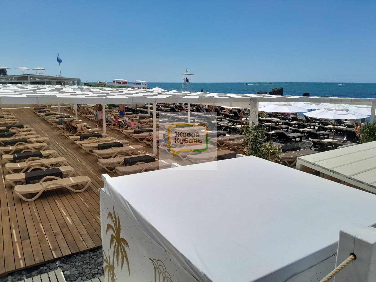 Фото: Живая Кубань