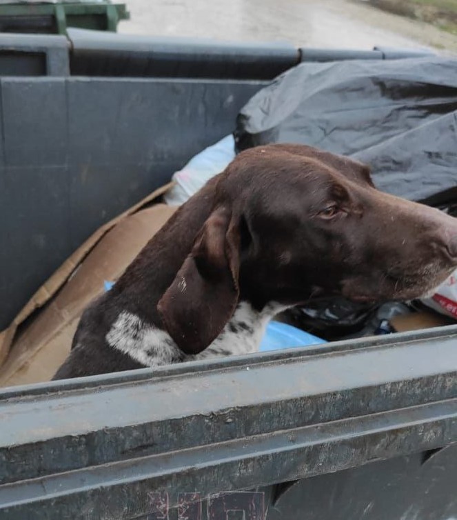 Фото: ГУ МВД по краю