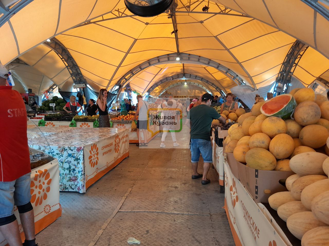 Фото: Живая Кубань