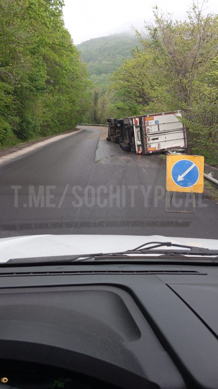 Фото: ТГ-канал Типичный Сочи