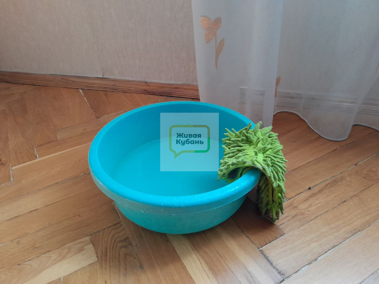 Фото: Живая Кубань