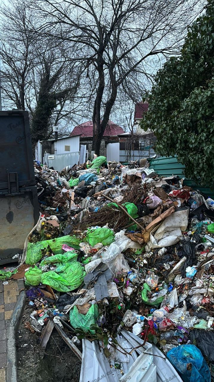 Фото: ТГ-канал ЧП Краснодара и края