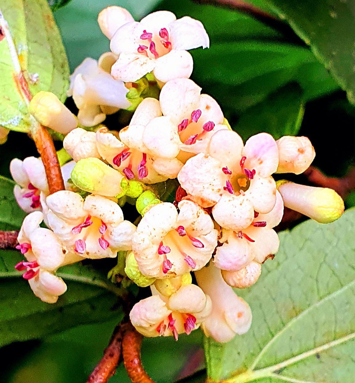 Фото: Типичный Краснодар