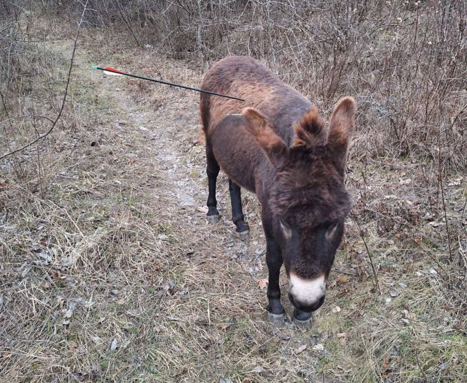 Фото: Типичный Краснодар