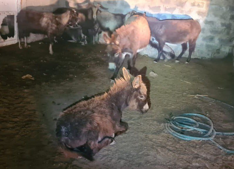 Фото: Типичный Краснодар