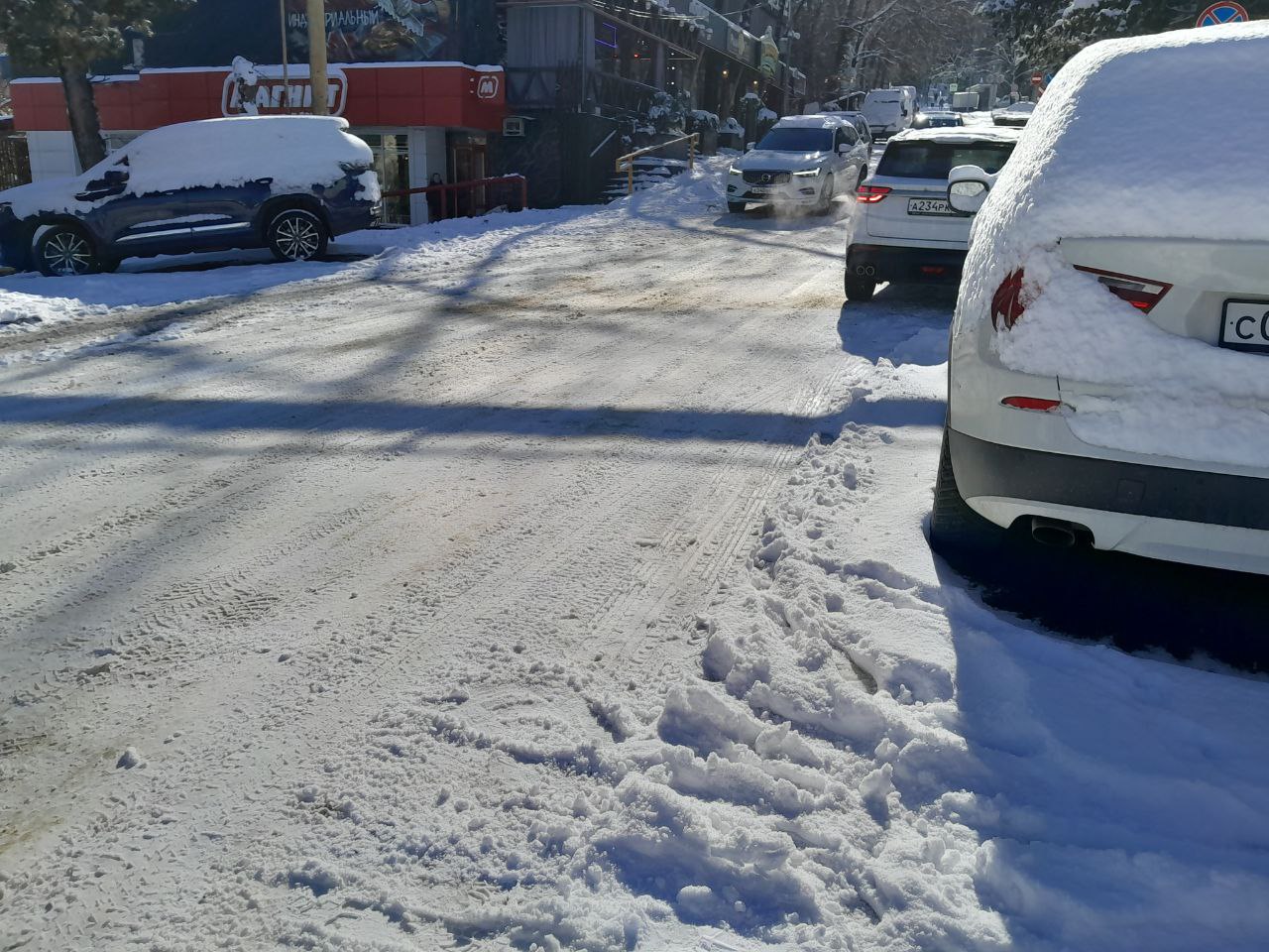 Фото: Живая Кубань