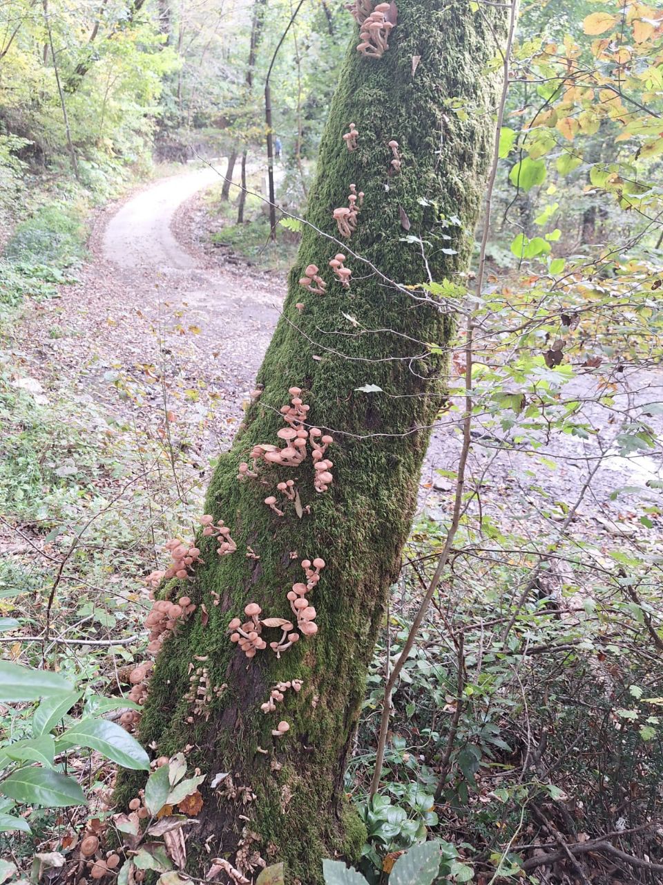 Фото: Живая Кубань