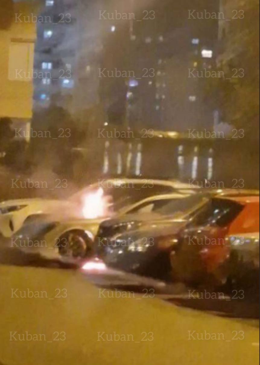 Фото: Живая Кубань