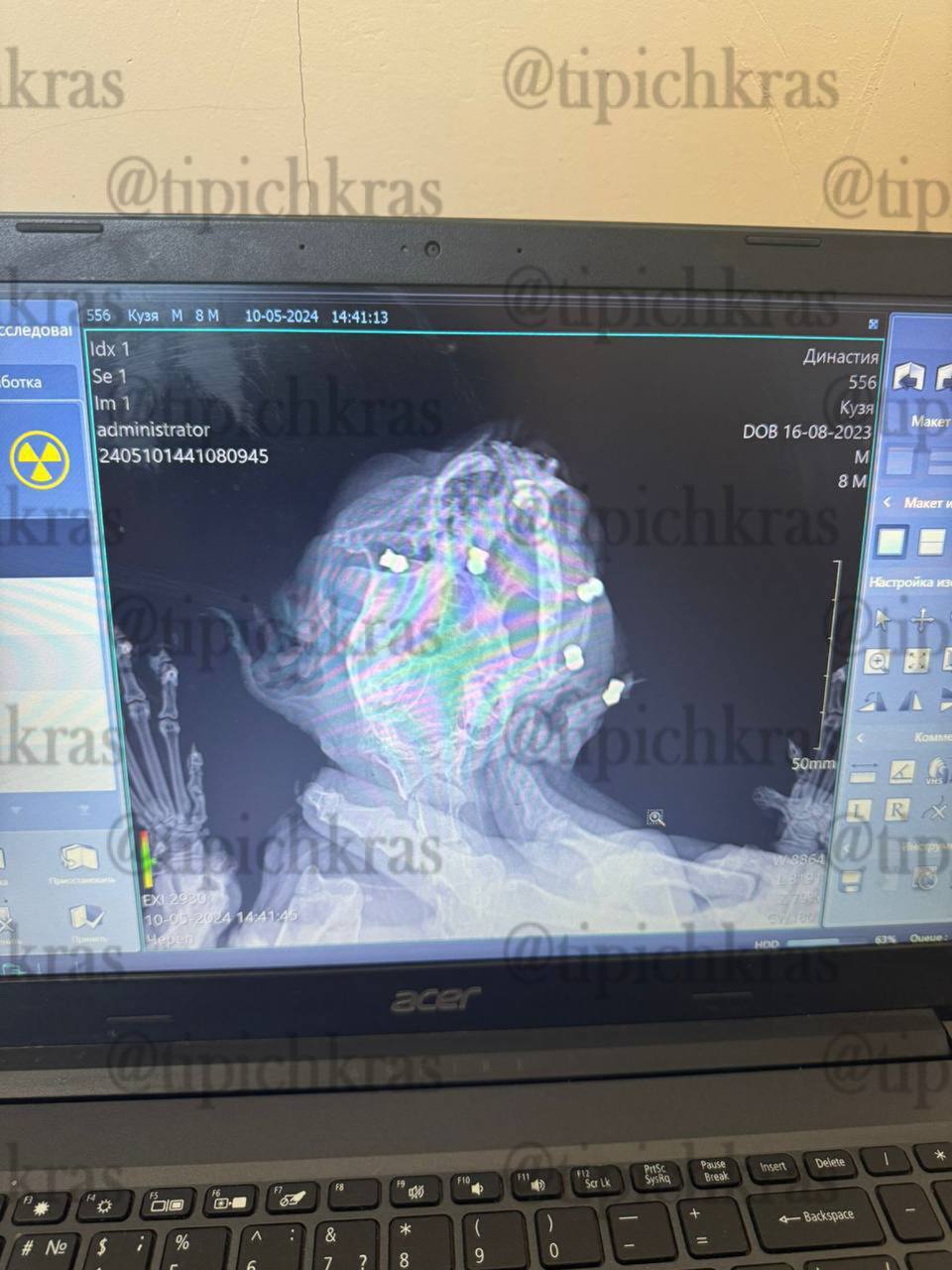 Фото: Типичный Краснодар