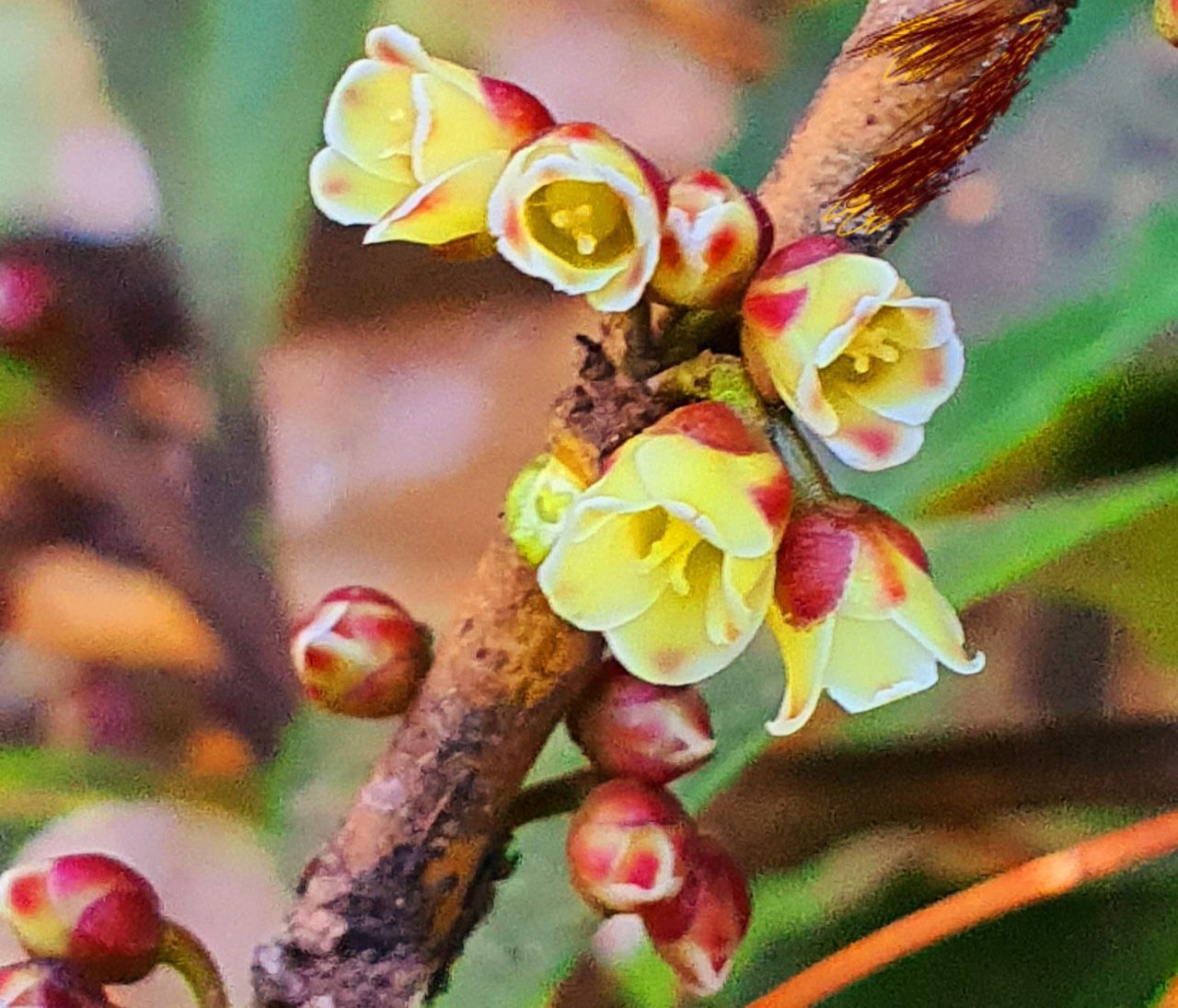 Фото: Типичный Краснодар