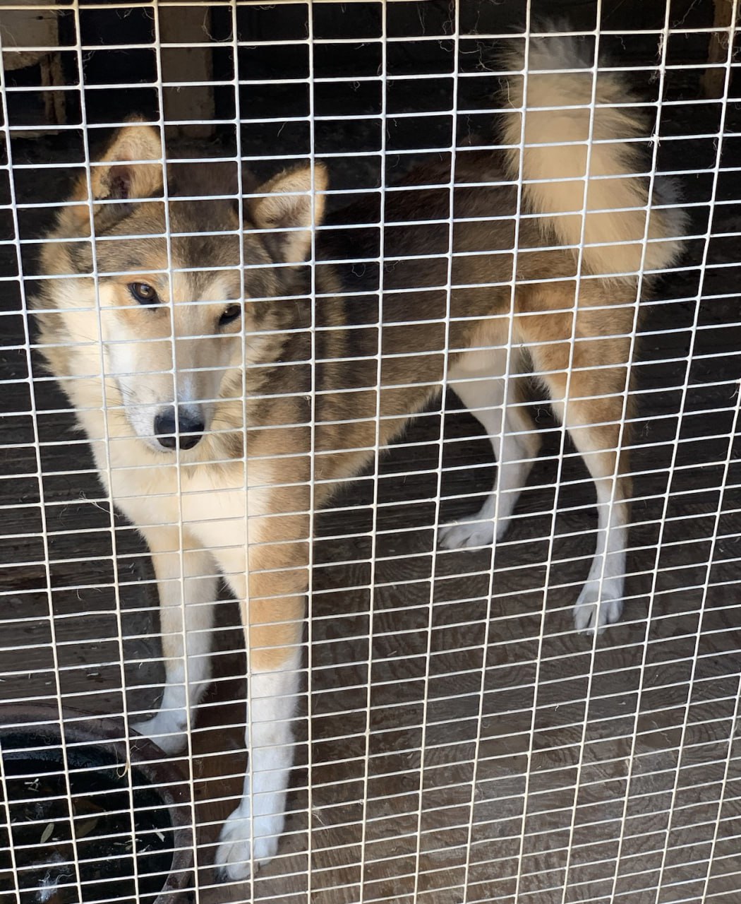 Фото: ТГ-канал Анапское Черноморье