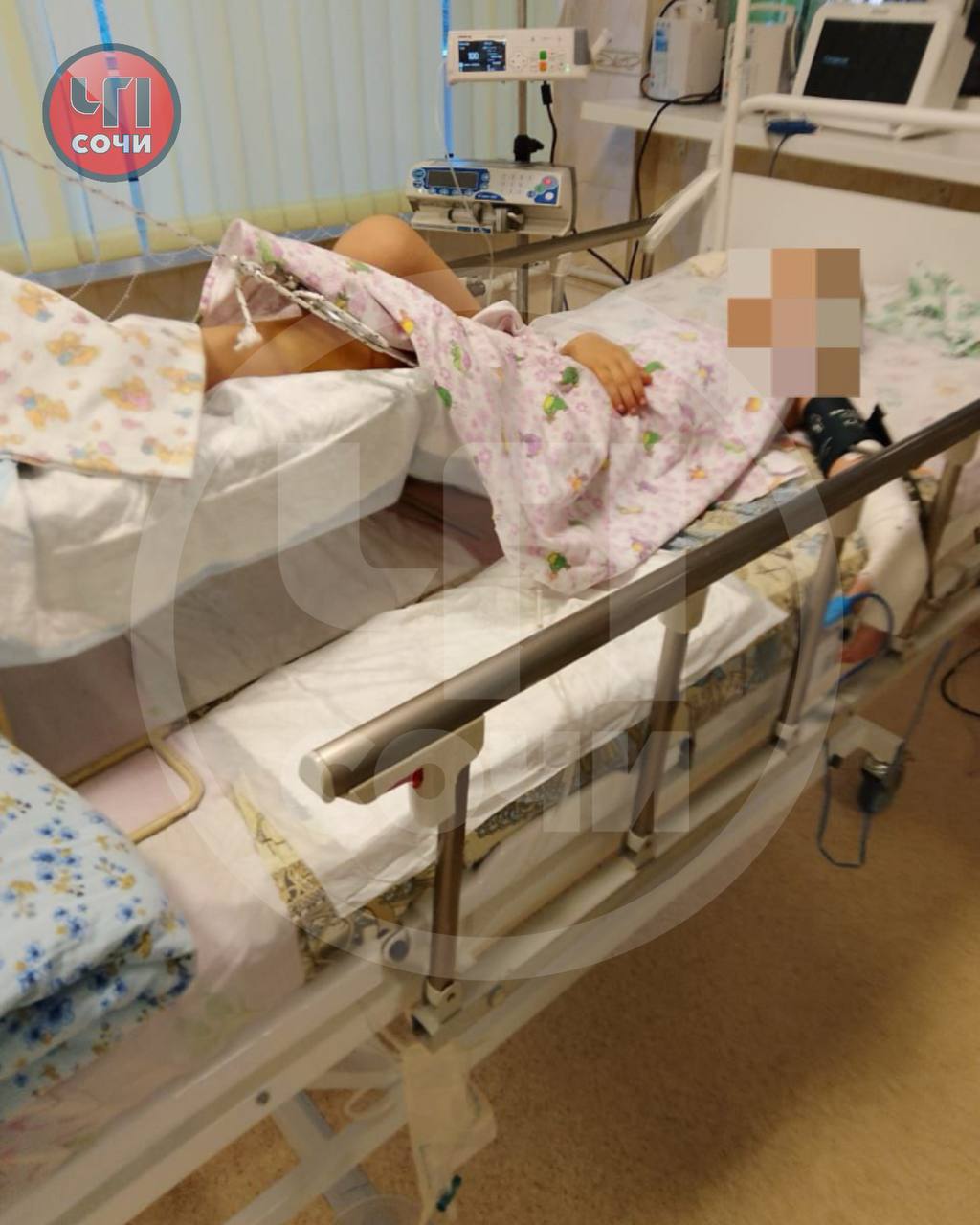 Фото: ТГ-канал ЧП Сочи