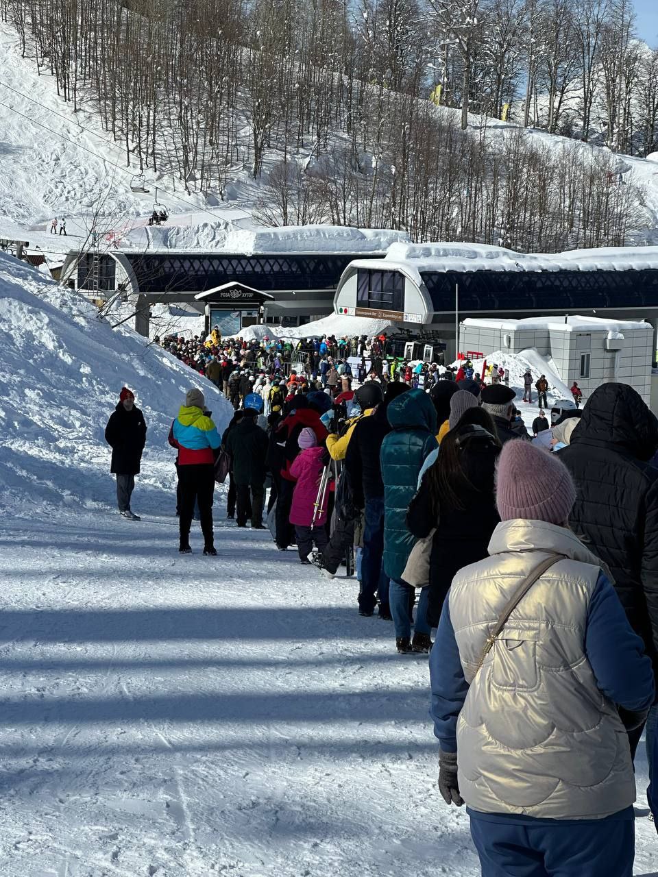 Фото: открытый источник