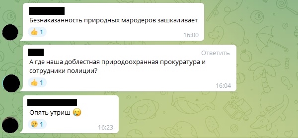 В Сочи сожгли древнюю и редкую фисташку